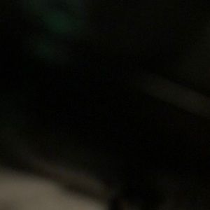 Meet your Posher, Ariana